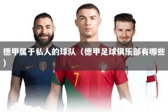 德甲属于私人的球队（德甲足球俱乐部有哪些）